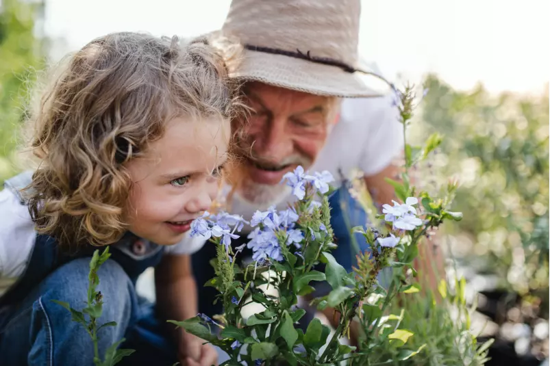 Grandfather gardening with grand doughter